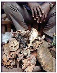 Traditional Healer with Materials.