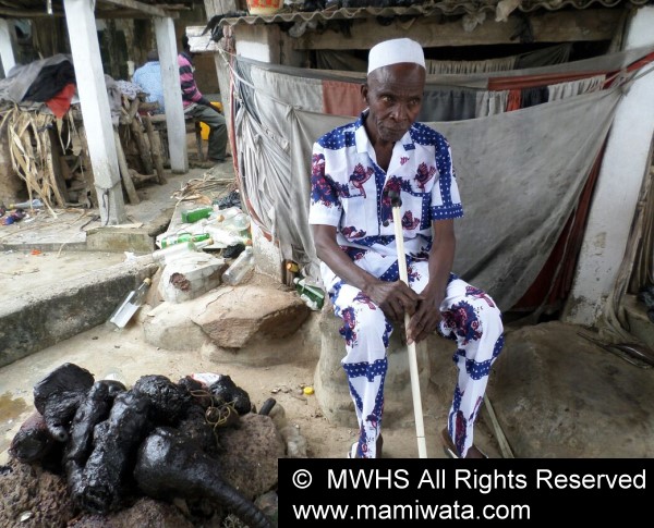 Djihoussou Devotees, Wives, Priests, Chiefs.