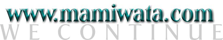 Mama Zogbe, wearing teal and custom spiritual regalia.